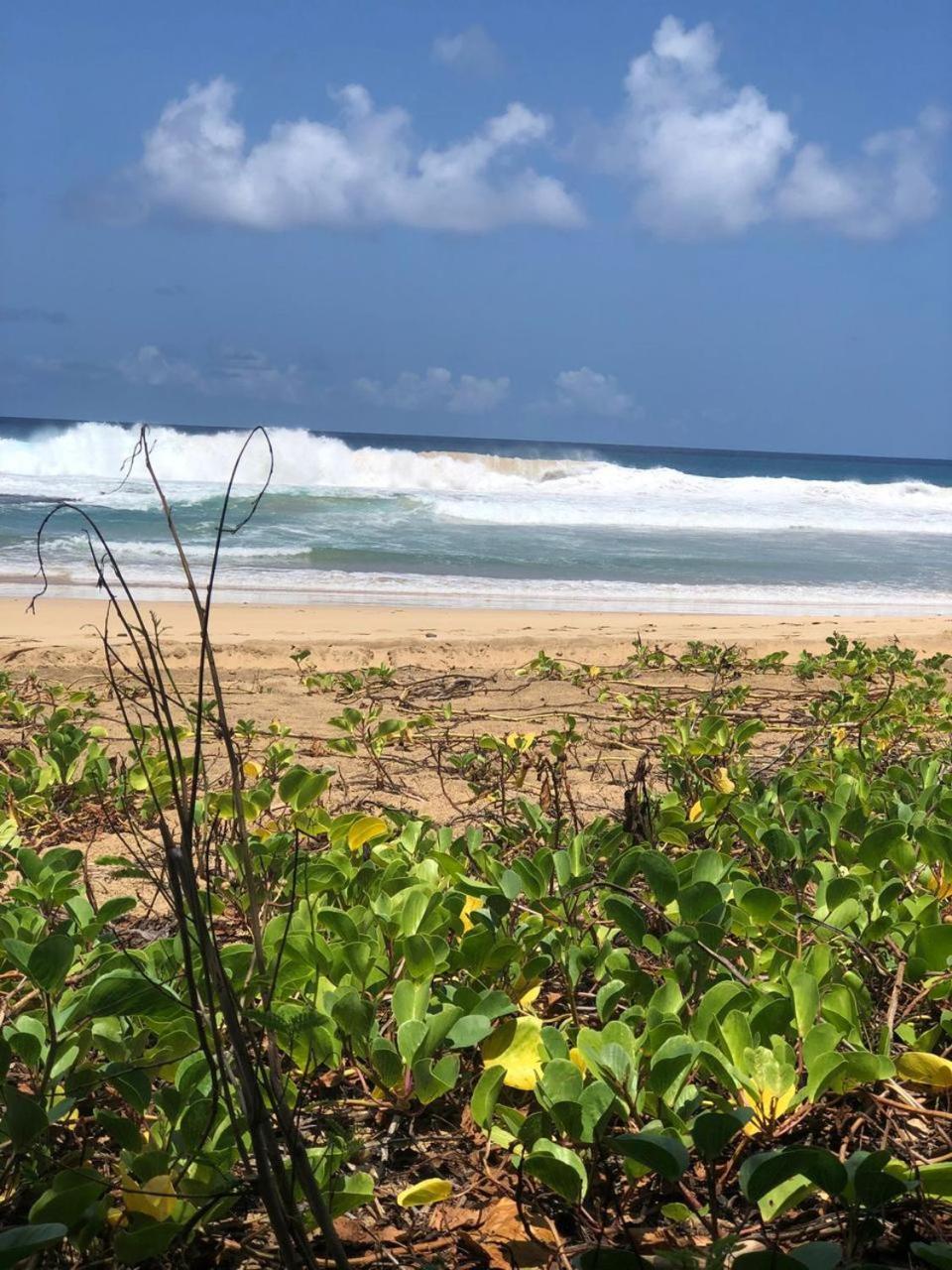 Pousada Boldro Home Fernando de Noronha Luaran gambar
