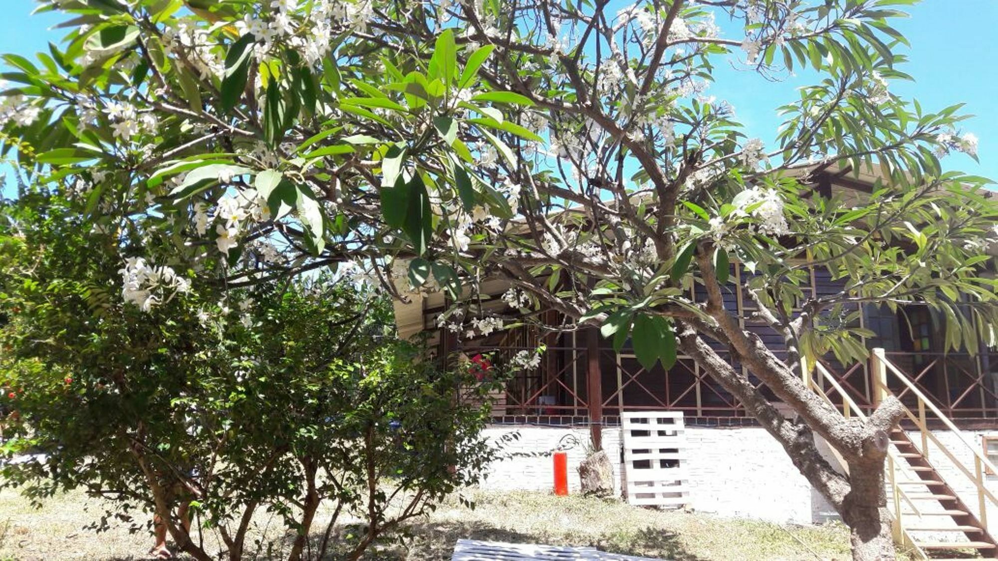 Pousada Boldro Home Fernando de Noronha Luaran gambar