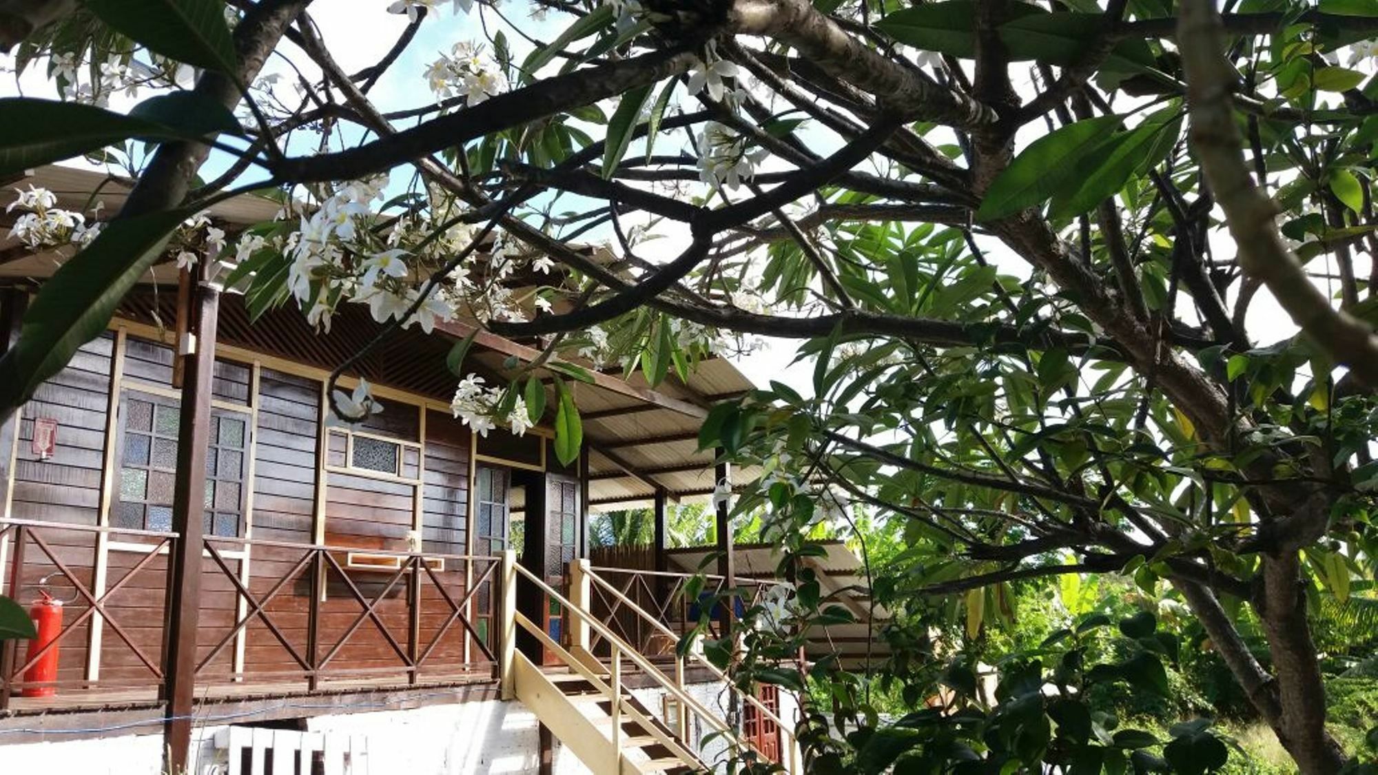 Pousada Boldro Home Fernando de Noronha Luaran gambar